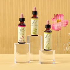 Bach Original Olive Flower Remedy – 20 ml